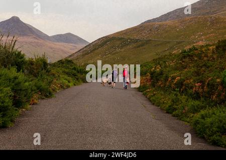 Silent Valley, Co Down Northern Ireland - octobre 07 2023 deux femmes avec des sacs à dos sur la promenade de leur chien dans les montagnes de Mourne Banque D'Images