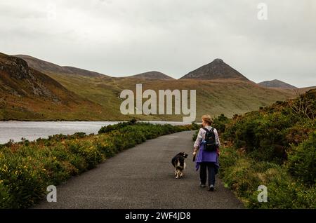 Une femme promenant son chien près du réservoir dans les montagnes de Mourne pour se détendre et faire de l'exercice Banque D'Images