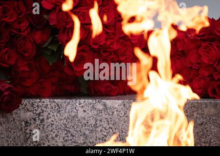 St. Petersburg, Russie. 27 janvier 2024. Fleurs déposées à la flamme éternelle en mémoire des victimes du siège de Leningrad au cimetière commémoratif de Piskarevskoye à Saint-Pétersbourg. St. Pétersbourg célèbre une date historique importante, 80 ans depuis la libération complète de Leningrad du blocus fasciste. (Image de crédit : © Artem Priakhin/SOPA Images via ZUMA Press Wire) USAGE ÉDITORIAL SEULEMENT! Non destiné à UN USAGE commercial ! Banque D'Images