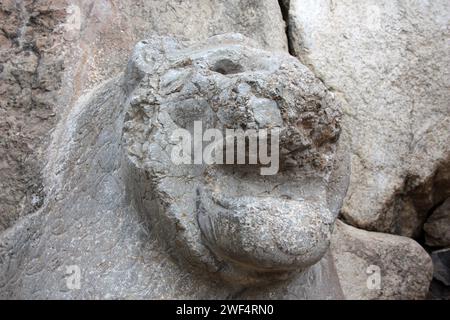 Lion de la porte du Lion dans le sud-ouest de Hattusa - la capitale de l'Empire hittite, Türkiye Banque D'Images