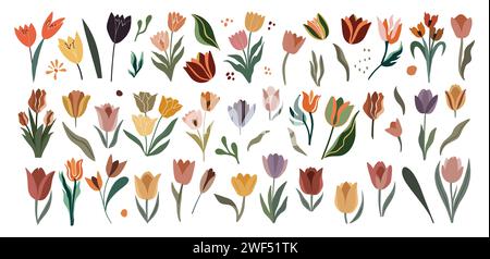 Ensemble d'éléments de conception de fleurs de tulipe dessinées à la main. Illustration de Vecteur