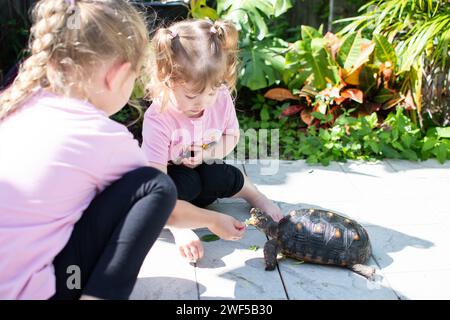 Deux enfants nourrissant la tortue à pieds rouges. Concept enfants et animaux de compagnie. Les enfants nourrissant la tortue Banque D'Images