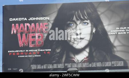 Los Angeles, Californie, USA 27 janvier 2024 Dakota Johnson Madame Web Bllboard le 27 janvier 2024 à Los Angeles, Californie, USA. Photo de Barry King/Alamy stock photo Banque D'Images