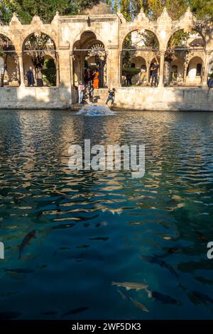 Touristes à Balıklıgöl (ou piscine d'Abraham, Halil-Ür Rahman Lake), est une piscine dans le sud-ouest du centre-ville de Şanlıurfa, Turquie Banque D'Images