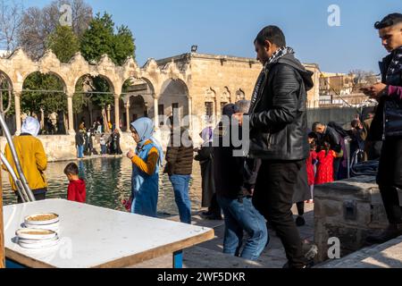 Touristes à Balıklıgöl (ou piscine d'Abraham, Halil-Ür Rahman Lake), est une piscine dans le sud-ouest du centre-ville de Şanlıurfa, Turquie Banque D'Images