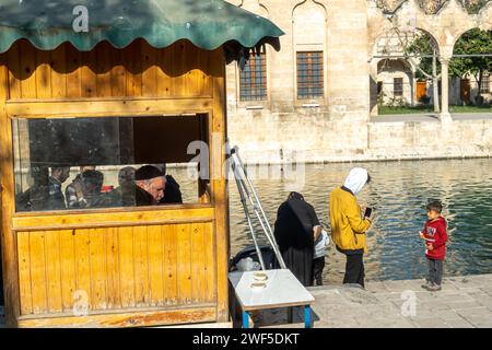 Touristes à l'alimentation des carpes, Balıklıgöl (ou piscine d'Abraham, Halil-Ür Rahman Lake), est une piscine dans le sud-ouest du centre-ville de Şanlıurfa, Turquie Banque D'Images