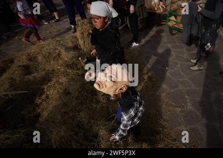 Ituren, Espagne. 28 janvier 2024. Deux enfants jouent avec l'herbe lors de la célébration du carnaval d'Ituren. Crédit : SOPA Images Limited/Alamy Live News Banque D'Images