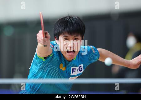 Tokyo Gymnasium, Tokyo, Japon. 26 janvier 2024. Tomokazu Harimoto, 26 JANVIER 2024 - tennis de table : tous les Championnats du Japon de tennis de table 2024 en simple masculin 4e tour au Tokyo Gymnasium, Tokyo, Japon. Crédit : YUTAKA/AFLO SPORT/Alamy Live News Banque D'Images