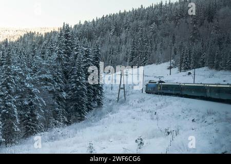 Vue du train qui couvre la route Oslo - Bergen voyageant à travers la zone près des forêts dans la région de Kvisla. La ligne de train de Bergen, connue sous le nom de Bergensbanen, est une expérience ferroviaire qui offre aux voyageurs un voyage pittoresque à travers les paysages les plus époustouflants de Norvège. La ligne de chemin de fer fournit une connexion à la nature sauvage nordique tandis que le train traverse les hauts plateaux, les fjords, traverse les rivières et offre des panoramas à couper le souffle. Les trains offrent des équipements à bord, y compris des voitures-restaurant où les passagers peuvent déguster des plats et des boissons norvégiennes tout en regardant le paysage passer. Banque D'Images