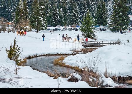 Équitation au centre de ski de Pertouli, Pyli, Trikala, Thessalie, Grèce. Banque D'Images