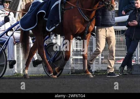 Vincennes, France. 28 janvier 2024. Ambiance pendant le Grand Prix d'Amerique sur le circuit de Vincennes à Vincennes, près de Paris, France, le 28 janvier 2024. Photo de Lionel Urman/ABACAPRESS.COM crédit : Abaca Press/Alamy Live News Banque D'Images