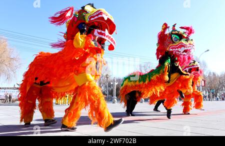 Zhangye, Chine. 29 janvier 2024. Les artistes répètent une danse du lion à Zhangye, en Chine, le 28 janvier 2024. (Photo Costfoto/NurPhoto) crédit : NurPhoto SRL/Alamy Live News Banque D'Images