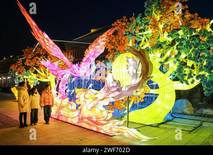 Lianyungang, Chine. 29 janvier 2024. Les visiteurs assistent à un spectacle de lanternes à thème à la Lianyungang Garden Expo à Lianyungang, en Chine, le 28 janvier 2024. (Photo Costfoto/NurPhoto) crédit : NurPhoto SRL/Alamy Live News Banque D'Images