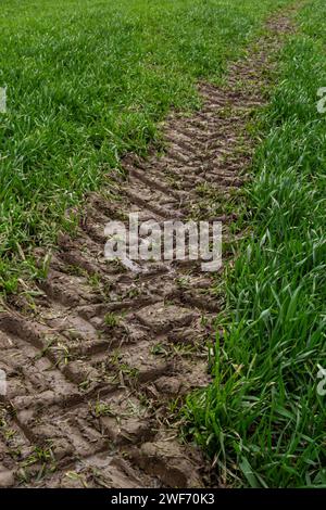 Traces d'un tracteur dans la boue dans un pré humide. Banque D'Images