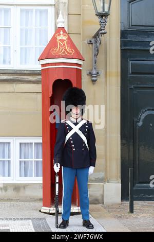 Copenhague, Danemark - 17 août 2023 : gardes royaux à Amalienborg, Palais, la résidence à Copenhague de la reine de Danemark. Cérémonie du changement Banque D'Images