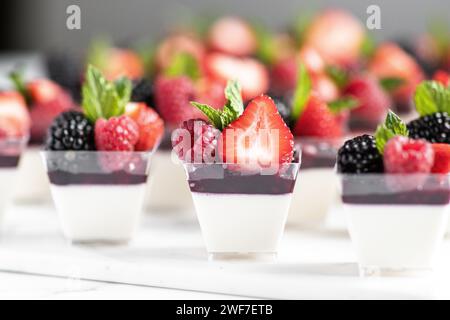 Panna Cotta à la vanille garnie d'un mélange de fruits à baies et de menthe Banque D'Images