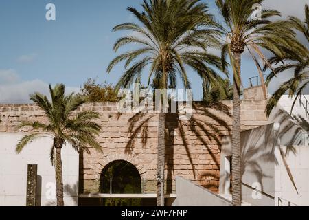 2 décembre 2023-extérieur de es Baluard, Musée d'Art moderne et contemporain de Palma. Banque D'Images