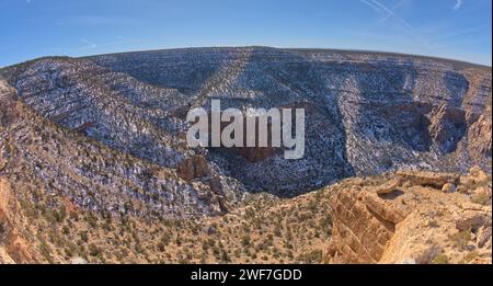 Waldron Canyon au Grand Canyon AZ Banque D'Images