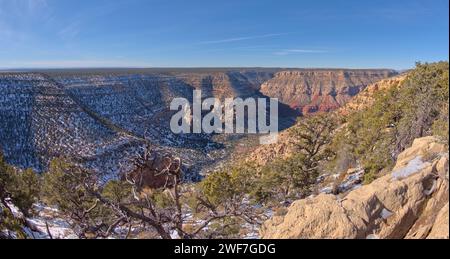 Waldron Canyon au Grand Canyon AZ Banque D'Images