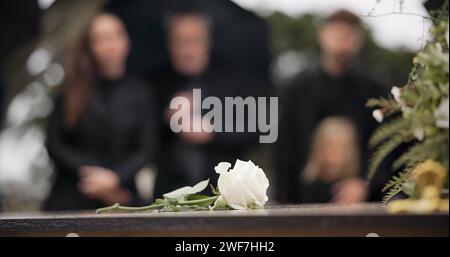 Rose, cercueil et funérailles au cimetière en plein air à la cérémonie d'enterrement de la famille ensemble à la tombe. Mort, chagrin et fleur sur cercueil au cimetière pour les gens Banque D'Images