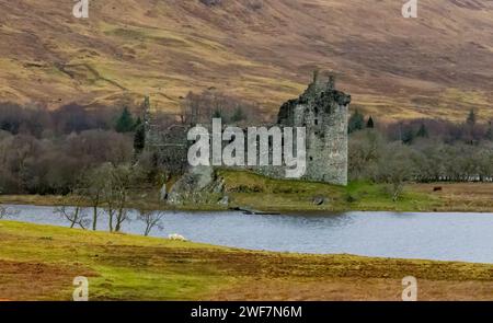 Ruines du château de Kilchurn sur le bord du loch Banque D'Images