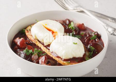 Oeufs en meurette est un plat français classique d'œufs pochés recouverts d'une riche sauce au vin rouge fourrée de lardons, de champignons et d'oignons en gros plan sur le pl Banque D'Images