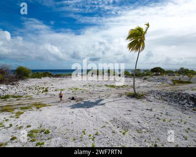 Opérateur de drone solitaire sur l'atoll corallien à côté du palmier solitaire, PK 9 Beach Banque D'Images