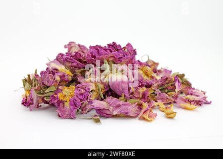 Studio shot de thé à pétales de rose secs sur fond blanc. Mise au point Selektive. Banque D'Images