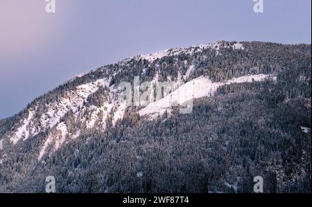 Spectaculaire coucher de soleil hivernal à Disentis, Alpes suisses. Sommets majestueux, arbres enneigés et paysage serein baigné de teintes roses et bleues. Banque D'Images