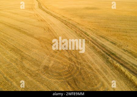 Vue aérienne de dessus des terres agricoles avec des marques de tracteur entrecroisées créant une riche tapisserie de lignes et de textures dans une palette chaleureuse Banque D'Images