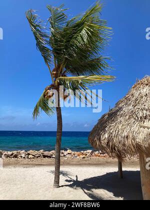 Toits de chaume couverts dans l'aire de pique-nique publique, Curaçao Banque D'Images