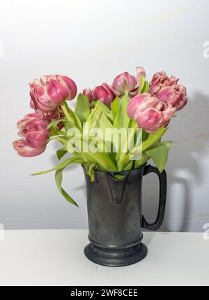 tulipes rouges qui sont sur le point de dépérir. Photo : Bo Arrhed Banque D'Images