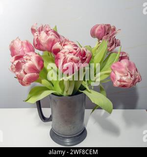 tulipes rouges qui sont sur le point de dépérir. Photo : Bo Arrhed Banque D'Images