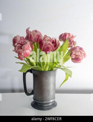 tulipes rouges qui sont sur le point de dépérir. Photo : Bo Arrhed Banque D'Images