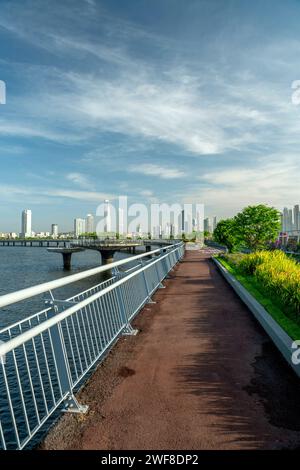 Panama City Skyline vu de Cinta Costera 3, l'ancienne et nouvelle ville de la route de contournement, Panama City - stock photo Banque D'Images