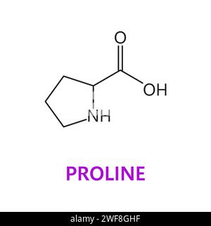 Molécule chimique d'acide aminé de Proline, formule moléculaire et structure de chaîne, icône de vecteur. Structure moléculaire d'acides aminés protéinogènes de Proline et formule de chaîne pour la médecine et la pharmacie Illustration de Vecteur