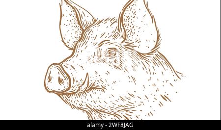 Porc, tête de porc. Imprimé rétro vintage, dessin de style crayon à l'encre de cochon blanc noir, graver la vieille école. Croquis illustration silhouette tête cochon, fond blanc. Profil de vue latérale. Illustration vectorielle Illustration de Vecteur