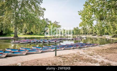 Plusieurs bateaux à rames amarrés dans un plan d'eau serein, enveloppés par un feuillage luxuriant Banque D'Images