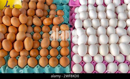 Œufs de poule bruns et blancs dans des plateaux en carton Banque D'Images