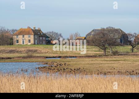 Vue sur la réserve naturelle d'Elmley sur l'île de Sheppey, Kent, Angleterre, Royaume-Uni, avec des oiseaux aquatiques et des roseaux Banque D'Images