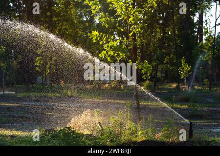 Système d'arrosage automatique arrosant la pelouse dans le jardin. Concept d'irrigation et de jardinage. Banque D'Images