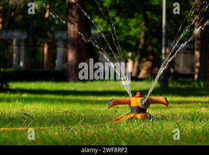Arroser la pelouse avec un système d'irrigation automatique dans le parc de la ville au coucher du soleil Banque D'Images
