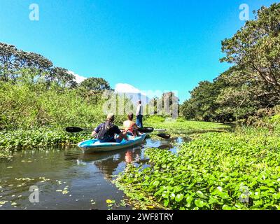 Kayak sur le Rio Istian, île d'Ometepe, Nicaragua Banque D'Images