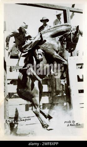 Historique Calgary Stampede Photography. Un cow-boy monte un cheval de bucking lors de l'épreuve d'équitation de bronc bareback au Stampede de Calgary. Par Rosettis Studio, Calgary, Alberta vers les années 1930 Banque D'Images