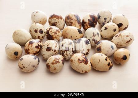 oeufs de caille disposés sur fond en bois blanc Banque D'Images