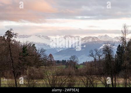 Une vue sur les montagnes des Alpes suisses à travers la campagne près de Zurich en Suisse Banque D'Images