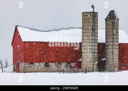 Ferme Amish avec grange rouge et silos pendant la tempête de neige hivernale dans le comté de Mecosta, Michigan, États-Unis [aucune autorisation de propriété ; licence éditoriale seulement] Banque D'Images