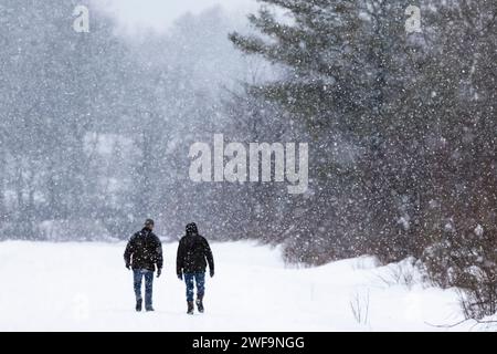 Deux copains marchant sur une route hivernale enneigée dans le comté de Mecosta, Michigan, États-Unis Banque D'Images