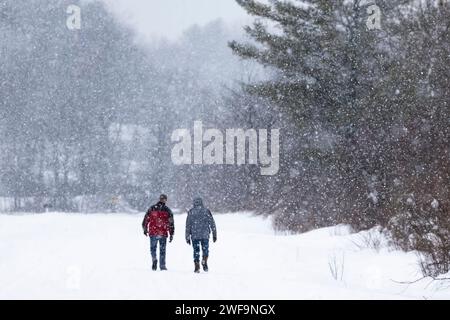 Deux copains marchant sur une route hivernale enneigée dans le comté de Mecosta, Michigan, USA [pas d'autorisation du modèle ; licence éditoriale uniquement] Banque D'Images