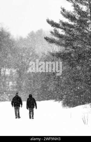 Deux copains marchant sur une route hivernale enneigée dans le comté de Mecosta, Michigan, États-Unis Banque D'Images